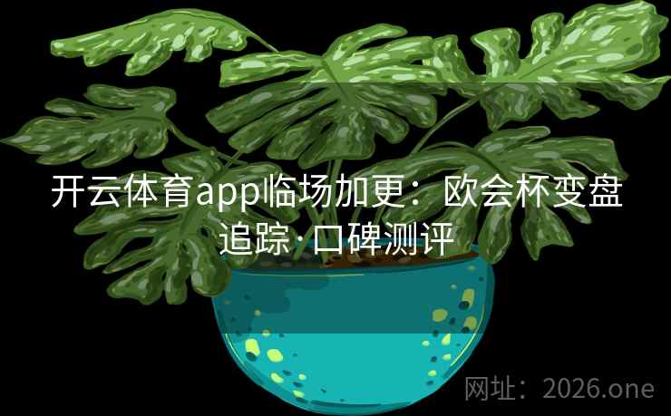 开云体育app临场加更:欧会杯变盘追踪·口碑测评