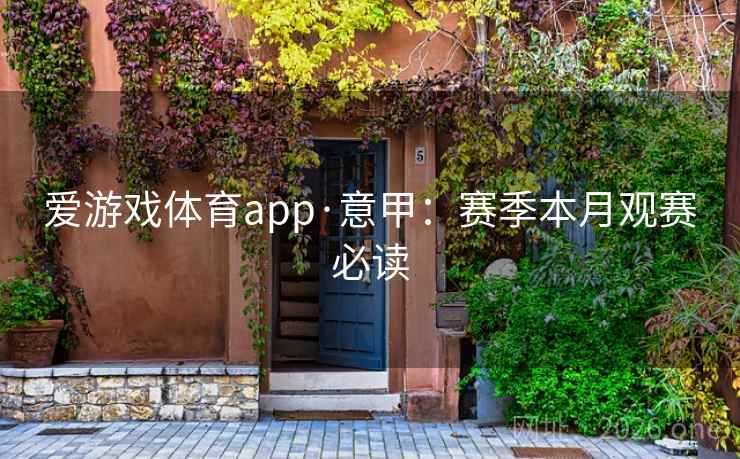 爱游戏体育app·意甲：赛季本月观赛必读