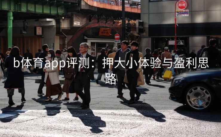 b体育app评测：押大小体验与盈利思路