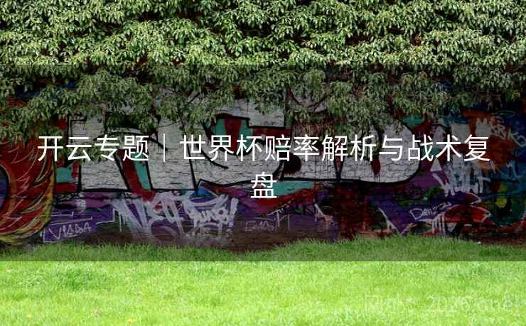 开云专题｜世界杯赔率解析与战术复盘