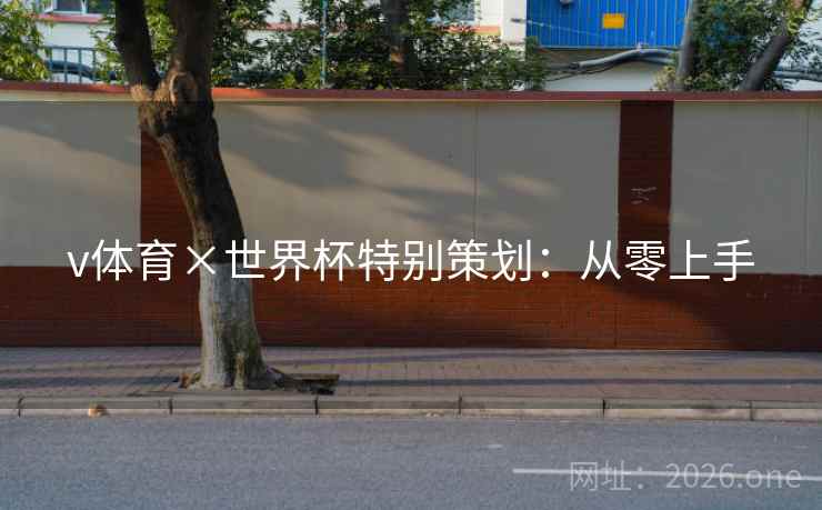 v体育×世界杯特别策划:从零上手