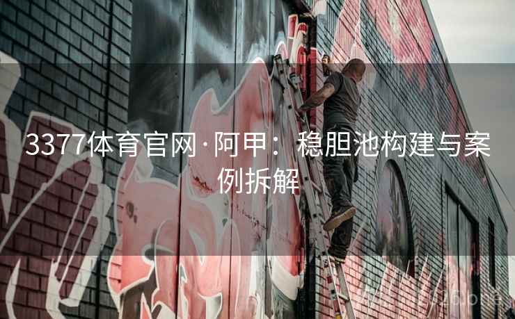 3377体育官网·阿甲:稳胆池构建与案例拆解
